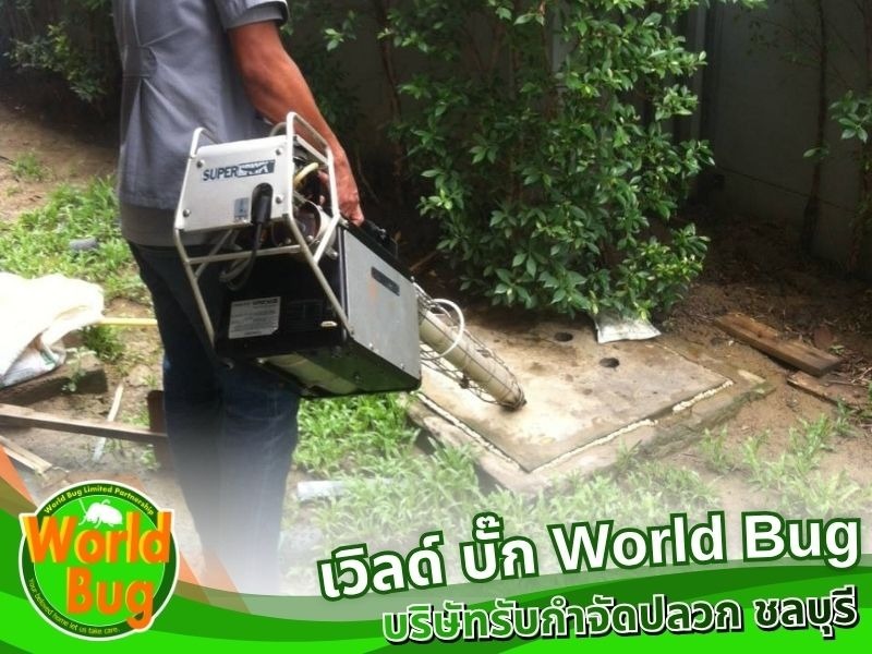 รับฉีดปลวก ชลบุรี